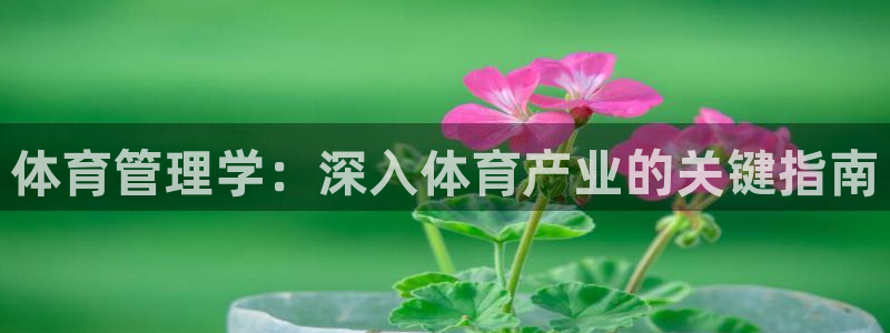 必一体育登录入口