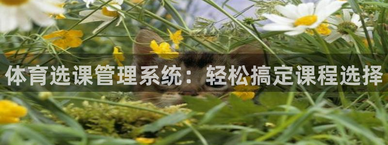 必一运动bsport体育app下载