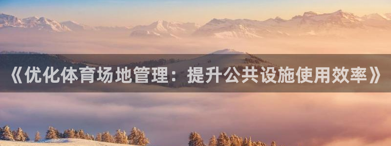 必一运动听的歌：《优化体育场地管理：提升公共设施使用效率》