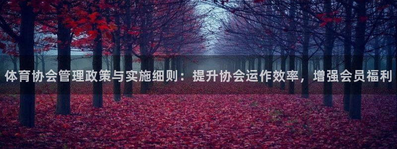 必一体育app下载安