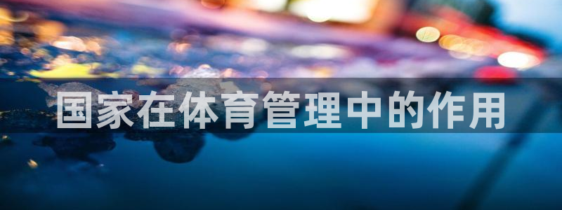 必一体育游戏特色