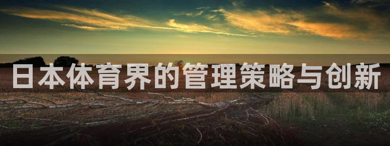 必一体育app下载