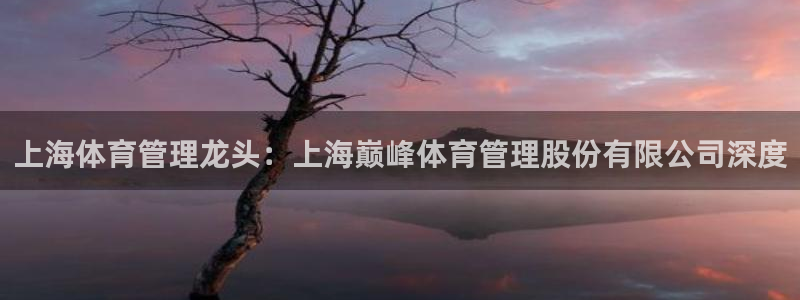 必一体育合法吗：上海