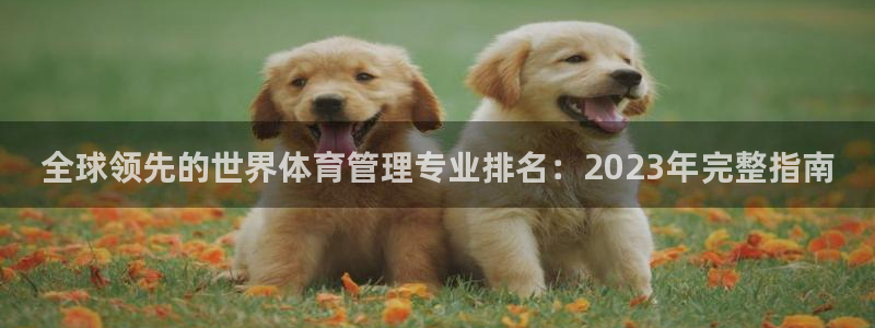 必一体育秀给网