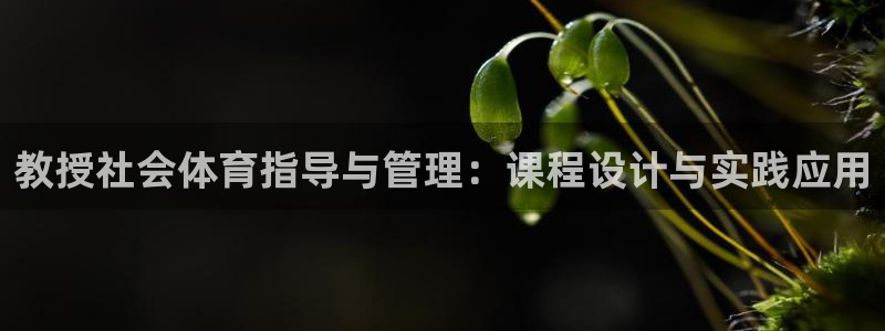 必一体育下载一样吗：