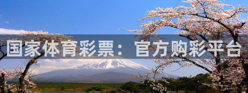 必一体育sport官网