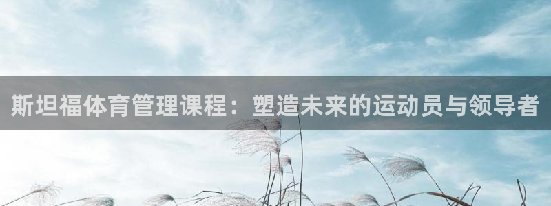 必一体育网页：斯坦福