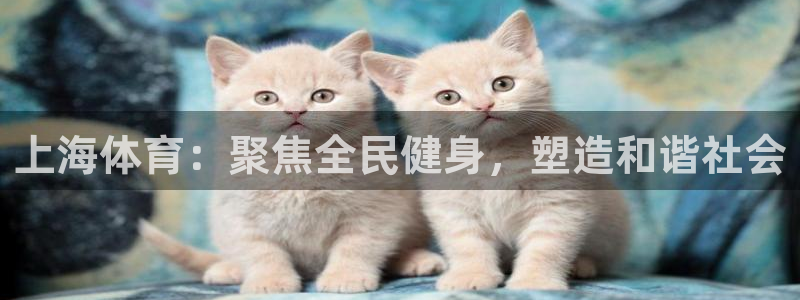 必一体育官网入口：上