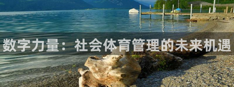 必一体育运动下载：数