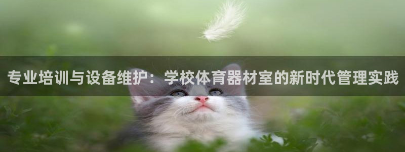 b体育必一运动网页版