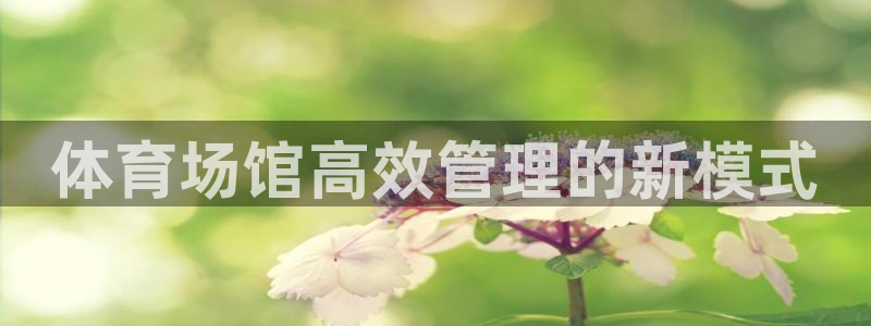 必一体育sport下