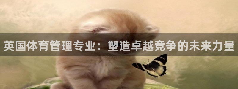 必一运动体育官网：英国体育管理专业：塑造卓越竞争的未来力量
