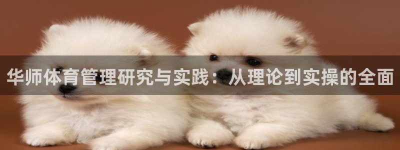 必一体育bsport下载：华师体育管理研究与实践：从理论到实