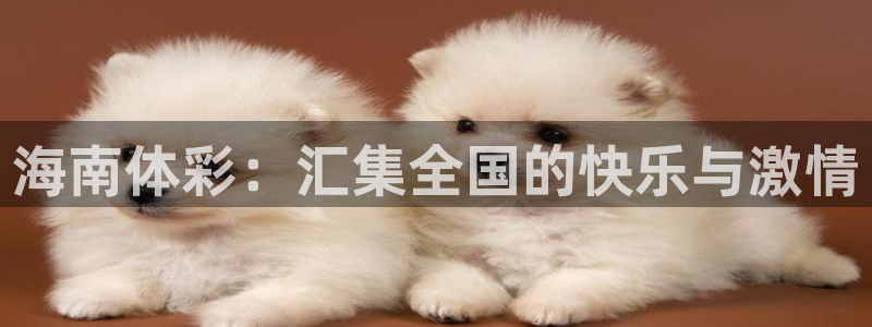 必一体育运动app下