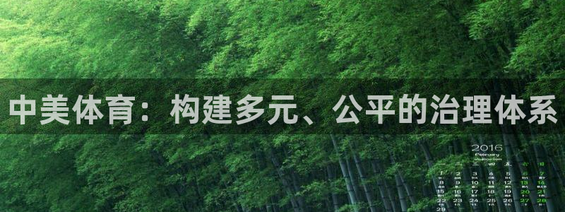 必一体育APP：中美