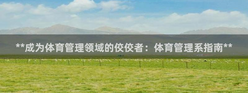 必一体育：**成为体育管理领域的佼佼者：体育管理系指南**