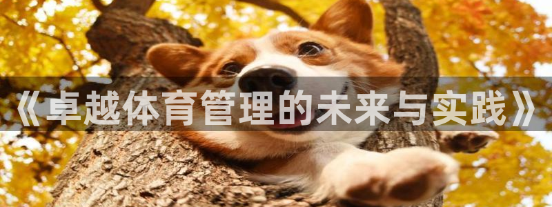 必一体育官网ios下